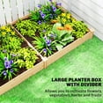 thumbnail image 4 of Outsunny Raised Garden Bed, Wooden Planter Box with Divider, Open Bottom, 4 of 10