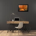 thumbnail image 4 of Bolokofsky, Ronald 24x17 Black Modern Framed Museum Art Print Titled - Autumn Landscape, 4 of 5
