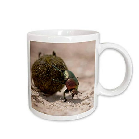 

3dRose Namibia Etosha NP Dung Beetle insect-AF31 PSO0122 - Paul Souders Ceramic Mug 11-ounce