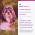 thumbnail image 3 of Cranberry Extract Plus, Bladder & Urinary Tract Support Soft Chews for Dogs (60 Chews), 3 of 9