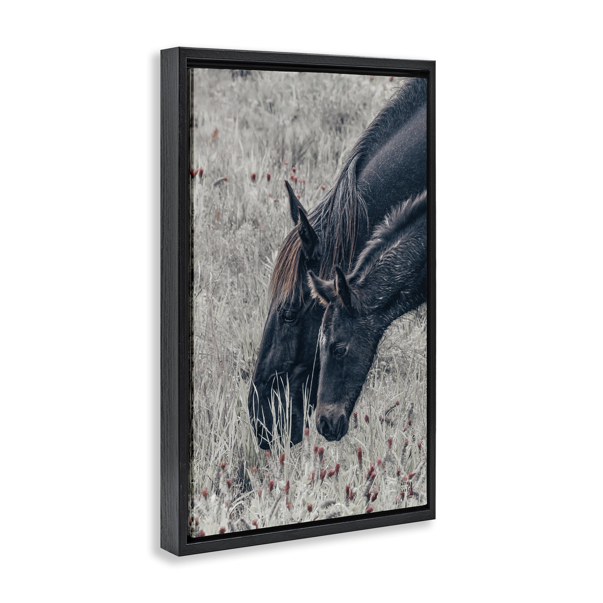 Stupell Industries New Graze Horses in Meadow Black Framed Floater Canvas Wall Art, design by Nathan Larson