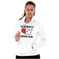 thumbnail image 3 of USA Renewable Energy Climate Change Hoodie Sweatshirt Women Men Brisco Brands X, 3 of 6