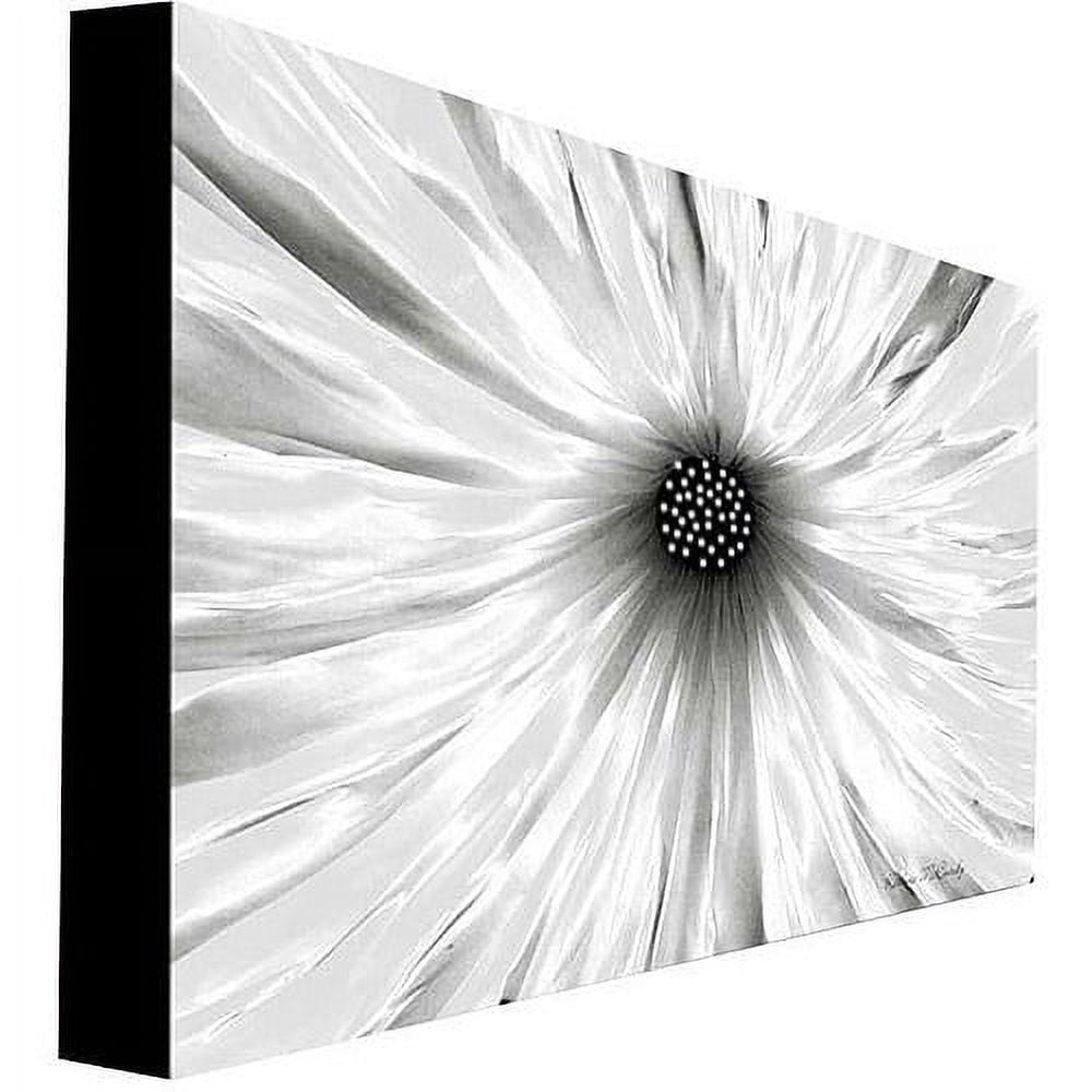 Trademark Art "White Garden" Canvas Art by Kathie McCurdy