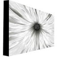 thumbnail image 2 of Trademark Art "White Garden" Canvas Art by Kathie McCurdy, 2 of 2