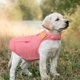 thumbnail image 3 of Desiderio Chaleco acolchado Dog Jacket - Chaleco cálido con cremallera para perros chaqueta polar, 3 of 5