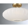 thumbnail image 2 of Meridian M60075MBK 1-Light Ceiling Light in Matte Black, 2 of 7