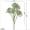 2, variant on New  Artificial Succulent Plants 35cm Long Branch Green Plants Indoor Decoration DIY Potted Large Spray Painted Succulents