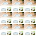 thumbnail image 2 of 10Pack Saucer Tray, Saucers, Heavy Duty Saucers for Indoors, Bird Bath Bowls, Flower Water Trays for pots Planter (9.5CM, White), 2 of 8