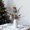 Multicolor-1A Home Decor, variant on Winter Savings karymi Christmas Decoration Simulation Flower Branches Plastic Simulation Flowers Wedding Party Or Hall Decorations Holiday Gift Decorations Living Room Decor Winter Savings