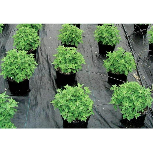 fastboy Black Weed Barrier Blocker Landscape Fabric with Grid Strips 1.5x5meter