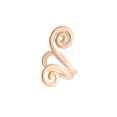 thumbnail image 1 of Jumpingount Ear Cuff sin inhibición flor forma elegante Earclip falso cartílago pendientes para Mujeres Hombres accesorios de boda Ropa, zapatos y accesorios Miscelánea Dorado Jumpingount AP012391-03, 1 of 6