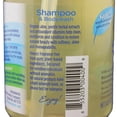 thumbnail image 3 of Earthview Shampoo & Body Wash, Fragrance Free Shampoo, 14.5oz, All Hair Types- Designed for Environmental Sensitivities (MCS, EI, MI), 3 of 4