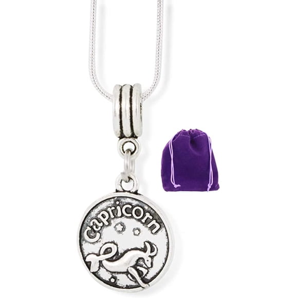 Collier Capricorn Hommes et Femmes Breloque Chaîne Serpent Pendentif (Argent)