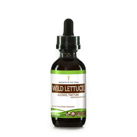 Wild Lettuce Tincture Alcohol Extract, Organic Lactuca virosa Digestive Health 2 (Best Wild Lettuce Extract)
