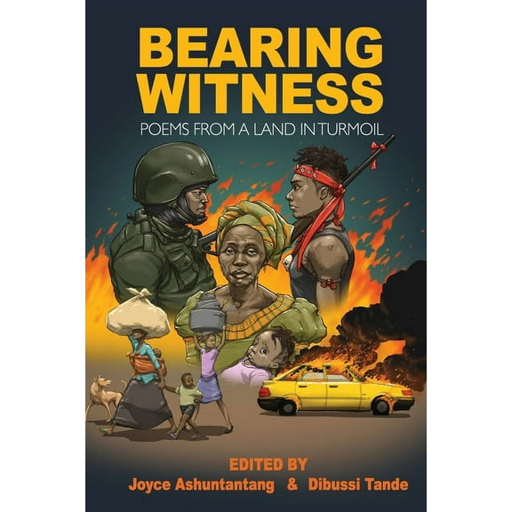 Bearing Witness: Poems from a Land in Turmoil, (Paperback)