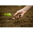 thumbnail image 2 of Premium Garden Soil, 1-Cubic Yard for Garden & Bulk Landscape Projects, 2 of 3