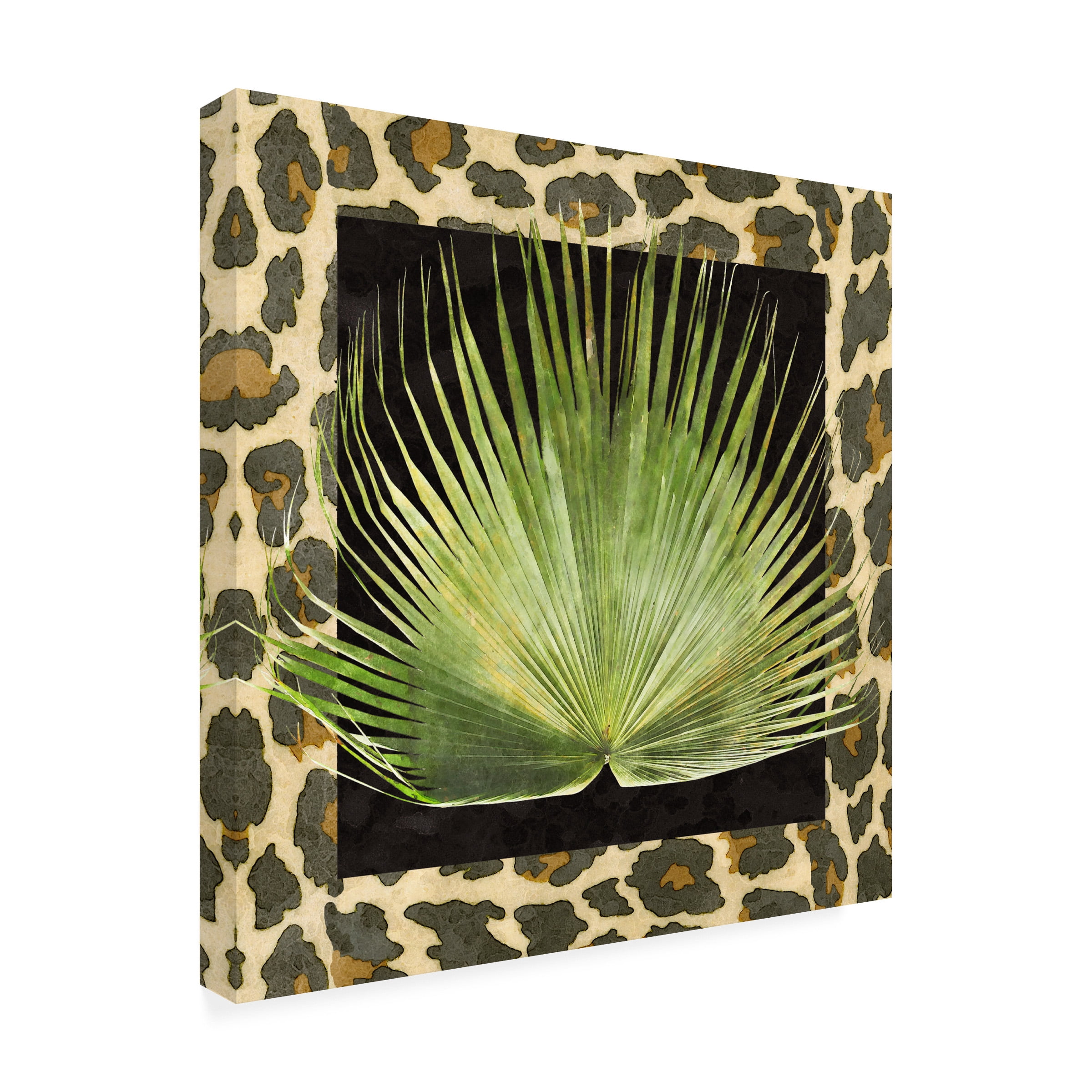 Alonzo Saunders 'Tropic Collection III' Canvas Art