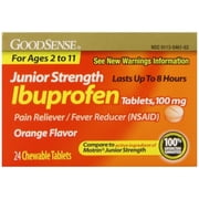 Good Sense Junior Strength Ibuprofen Pain Reliever/Fever Reducer Tablets, 100 mg 24 ea