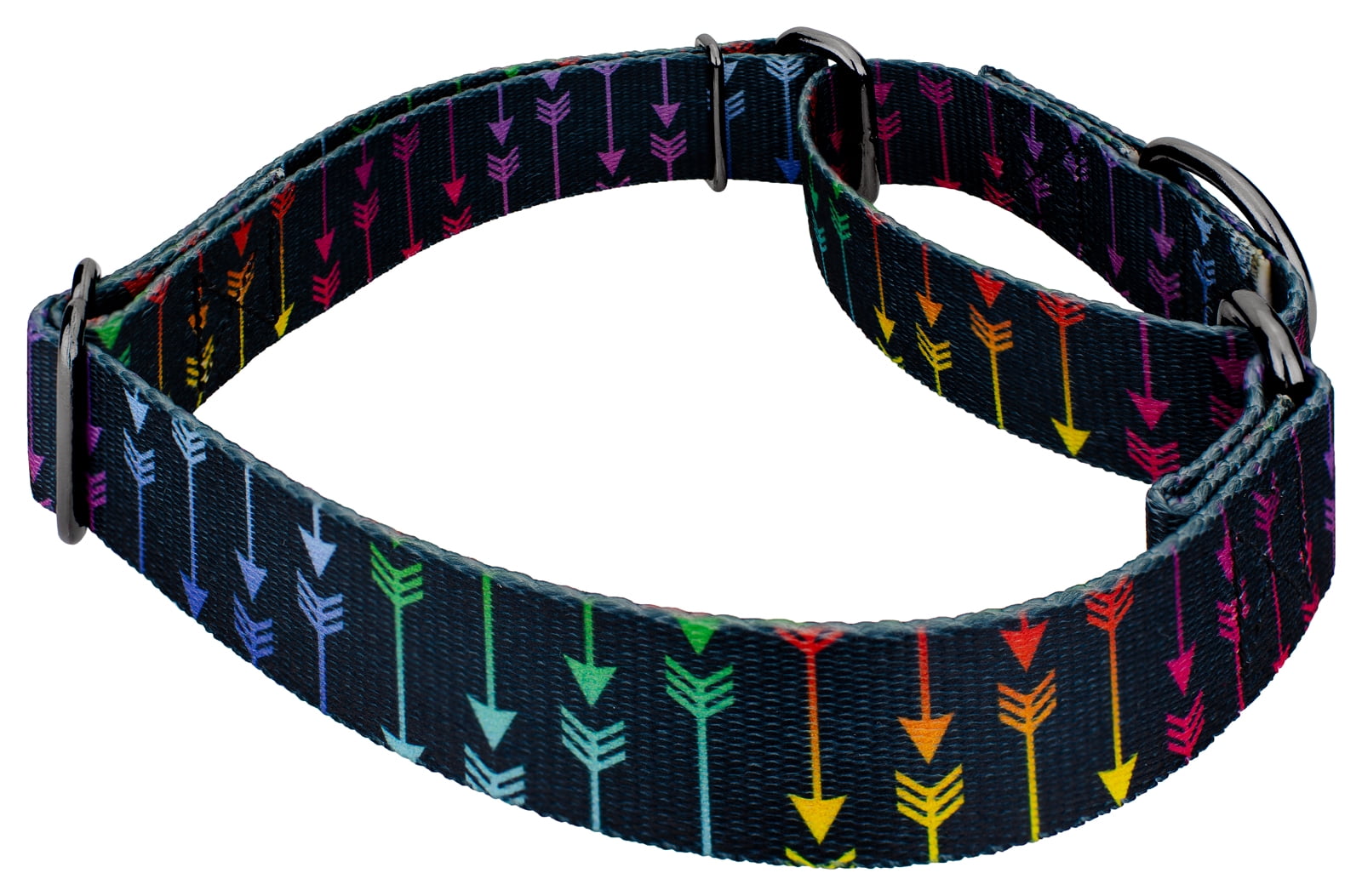 Country Brook Petz® Colorful Arrows Gunmetal Martingale Dog Collar and Leash, Small