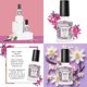thumbnail image 4 of Set de aerosol para inodoro Poo-Pourri, vainilla y menta, pétalos de vainilla y santal y melocotones y crema, 60 ml, 4 of 9