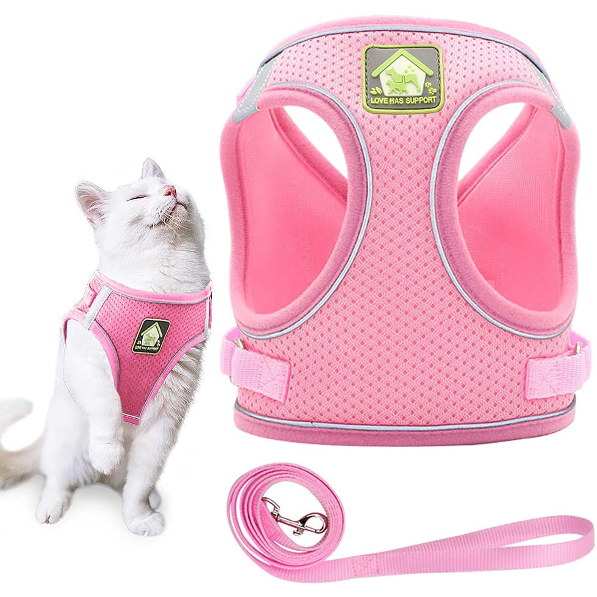 Can Cats Wear Dog Harnesses