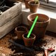 thumbnail image 2 of 4 sembradoras para plantas en maceta de exterior, herramientas de jardinería, prácticas sembradoras para jardín, hogar, césped, bonsáis y suculentas, para uso en interiores y exteriores., 2 of 6