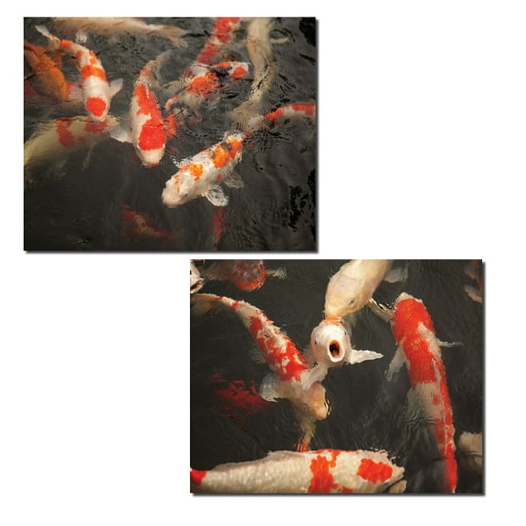 Colorful Koi Fishing Swimming in a Pond Photograph Prints; Two 10x8in Poster Prints