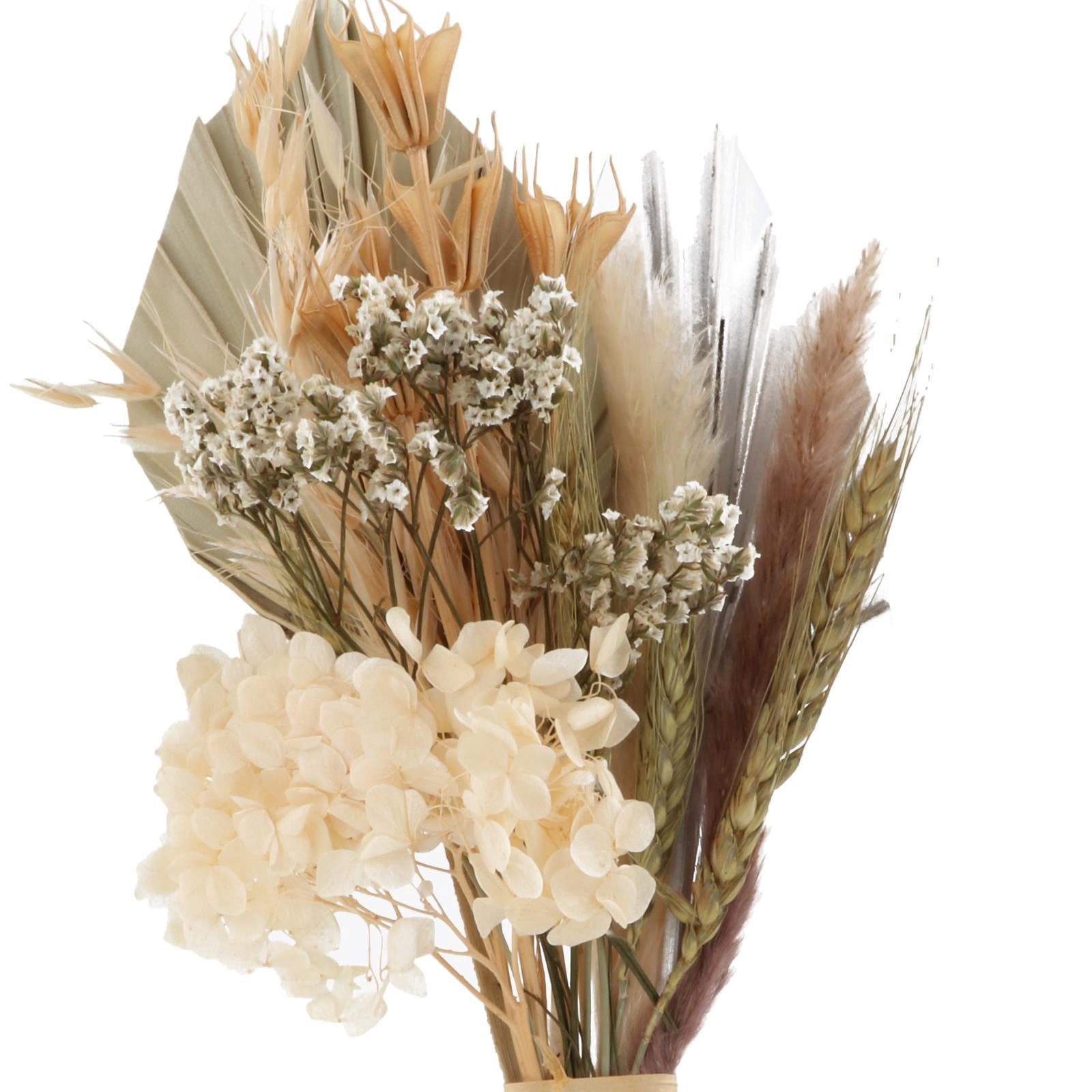 Axioma 2pcs Dried Flowers BouquetS Dried Plants Wedding Boho Rose