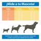 thumbnail image 3 of Correa Retráctil para Perro Fancy Pets Chica 3 m Aqua, 3 of 3