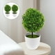 thumbnail image 3 of Bolas de plantas artificiales, bonsái decorativo de plantas simuladas, bola de flores de plástico para decoración (verde), 2 uds., 3 of 7