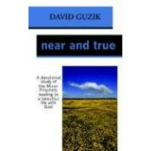 Pre-Owned Near and True (Paperback) 1565990323 9781565990326