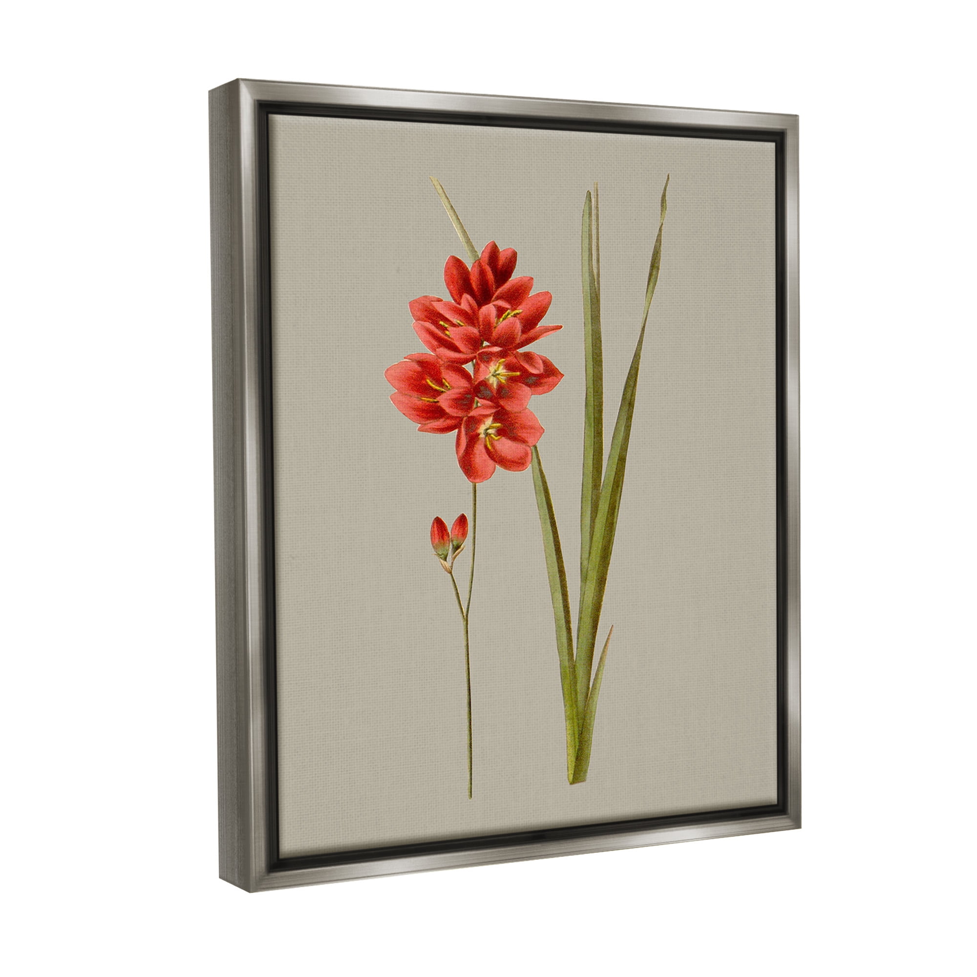 Stupell Industries Red Traditional Botanical Botanical & Floral Painting Gray Floater Framed Canvas Art Print Wall Art, 25 x 31