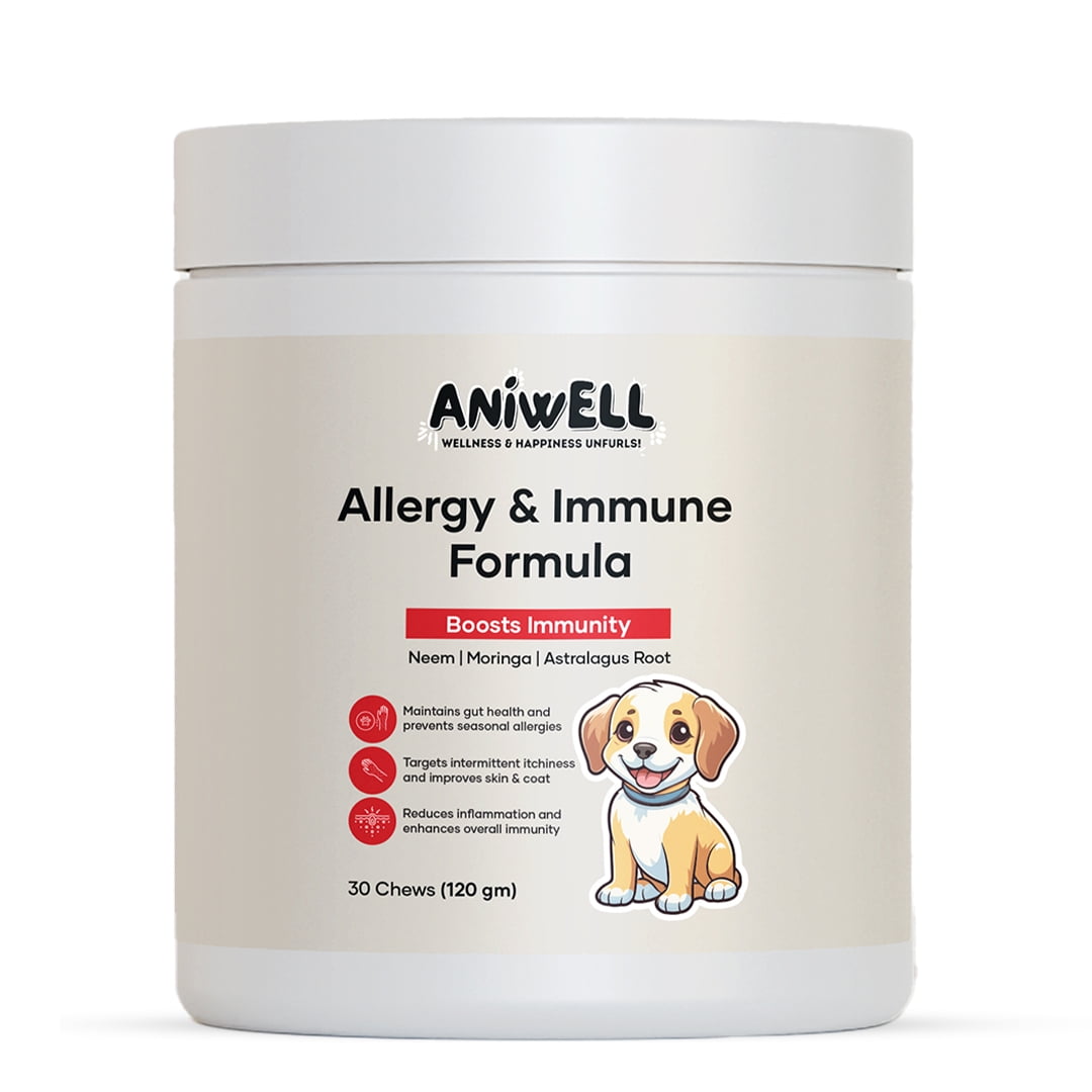 Aniwell Allergy & Immune Support Chews for Dogs Astragalus Root & Flaxseed C3 | Promotes Seasonal Allergy Relief, Gut & Digestive Health | Probiotics, Colostrum & Krill Oil | Soft Chews