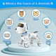 thumbnail image 4 of Juguete de control remoto Robot Dog Dwi Dowellin para niños de 8 a 12 años, 4 of 7