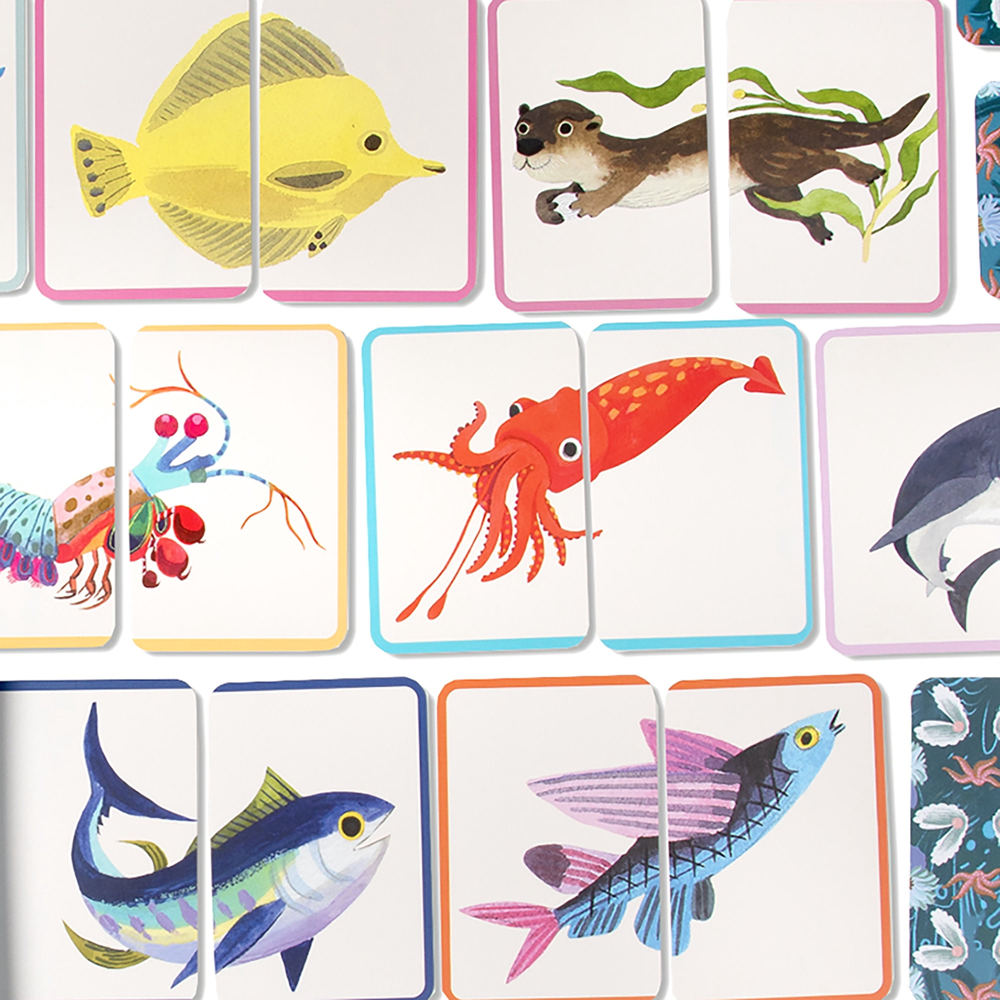 eeBoo Sea Life Memory Match & Make Game, Ages 4+ For 1-4 Players - Sharpens Visual Acuity, Concentration, And Memory Skills, 48 Cards, 24 Pairs