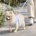 thumbnail image 5 of Cute Bow Cats & Dogs Harness And Leash Set,Escape Proof Adjustable Sweet Lace Gradient Bowknot Pet Vest Harness For Kitten Small Dog Walking Outdoor,S, 5 of 5