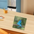 Backyard Birds Calendar 2025 Home and Office Organization Big Grid