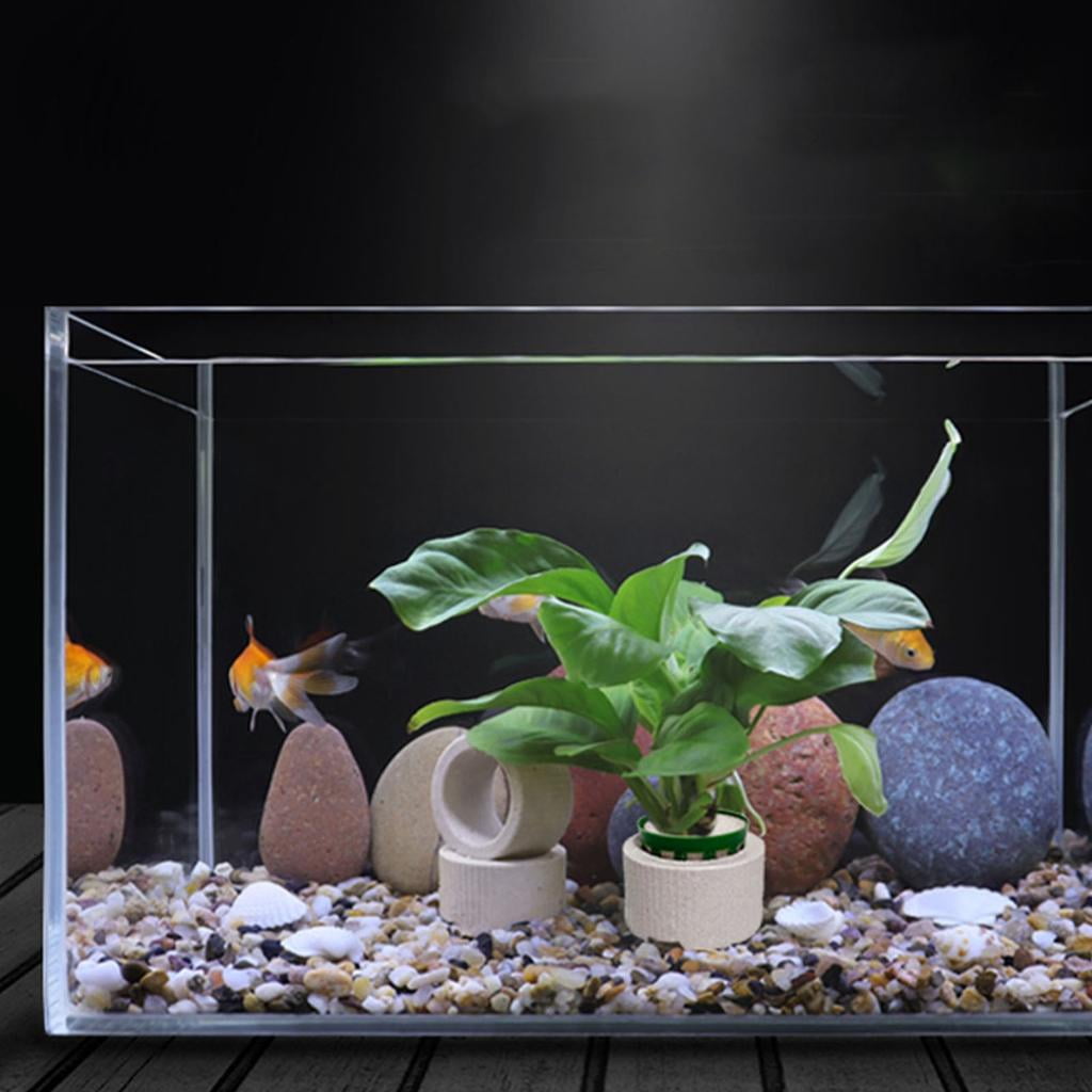 10Pcs Water Plant Weights Ceramic Aquarium Plant Fixed Rings Aquarium Decoration Accessories for Freshwater Saltwater