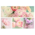 thumbnail image 3 of Gardner, Sarah 24x18 Black Modern Framed Museum Art Print Titled - Blossoms 4 Pack, 3 of 5