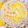 thumbnail image 4 of Minkissy 2Pcs Silicone Dehydrator Mats for Home Users with Reusable Feature for Food Dehydration, 4 of 8