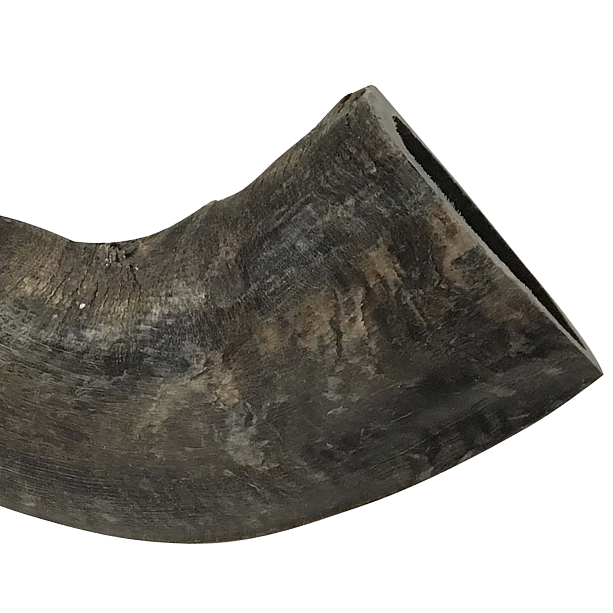Mossy Oak: Water Buffalo Horn - Large - Dog Chew, Long Lasting Pet Treat, Natural & Preservative Free, Promotes Dental Health, Aggressive Chewers