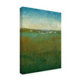 thumbnail image 2 of Trademark Fine Art 'Atmospheric Field II' Canvas Art by Tim OToole, 2 of 4