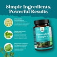 thumbnail image 4 of Natures Craft Cleanse & Detox Chlorophyll Capsules, Internat Cleanser & Deodorizer, 60 Count, 4 of 9