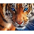 thumbnail image 1 of Otra decoración de pared Kits de pintura de diamante de tigre de 30x40 cm para niños adultos, kits de arte de diamante redondos completos 5d, animales, pintura de gemas artesan, 1 of 5