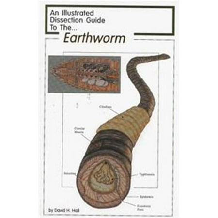 earthworm dissection guide olympia sports 13791 dissection guide to the earthworm earthworm dissection guide olympia sports 13791 dissection guide to the earthworm