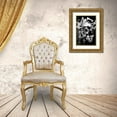 thumbnail image 3 of GraphINC 11x14 Gold Ornate Wood Framed with Double Matting Museum Art Print Titled - Skull Butterfly Crown, 3 of 4