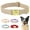 Beige, variant on Beirui Solid Personalised Dog Collar Custom Name Buckle Soft Adjustable XS S M L