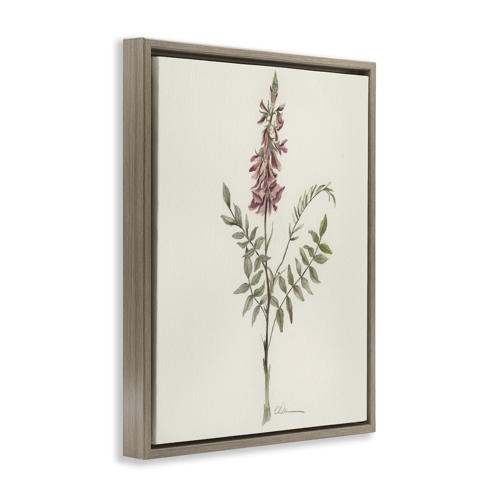 Stupell Industries Nature's Delicate Herb Sprig Brown Framed Floater Canvas Wall Art, design by Cady Driver