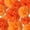 Orange, variant on Rose Gold Tissue Paper Pom Poms 12Pcs- Hanging Paper Flowers for Wedding Birthday Graduations Christmas and Special Occasions(8 &10 & 12 inch)