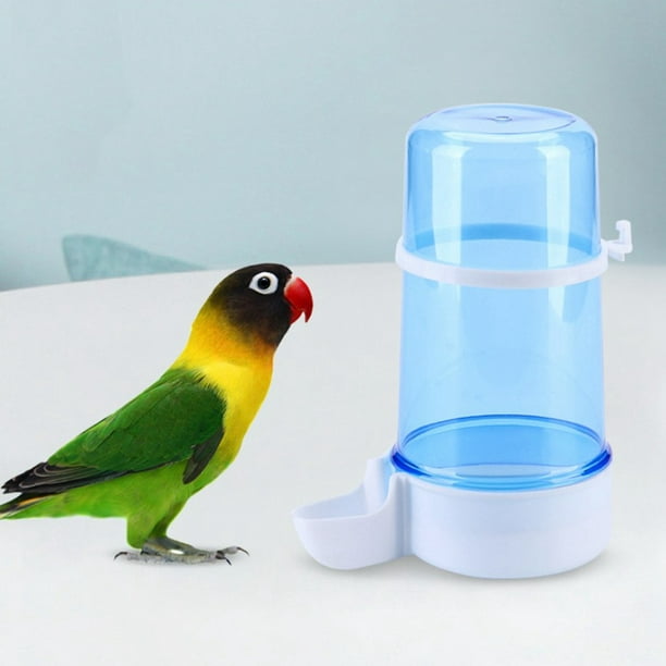 Mangeoire à oiseaux grande capacité abreuvoir automatique pour